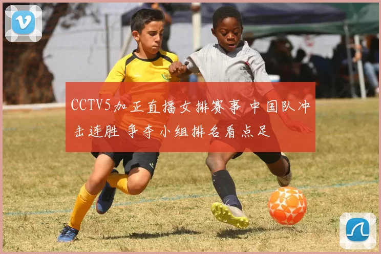 CCTV5加正直播女排赛事 中国队冲击连胜 争夺小组排名看点足