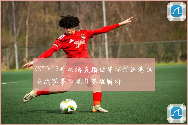 CCTV13手机端直播世界杯预选赛焦点战赛事回放与赛程解析