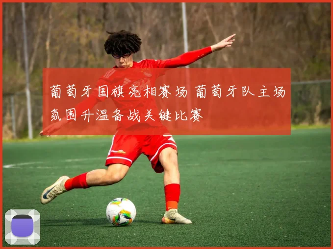 葡萄牙国旗亮相赛场 葡萄牙队主场氛围升温备战关键比赛