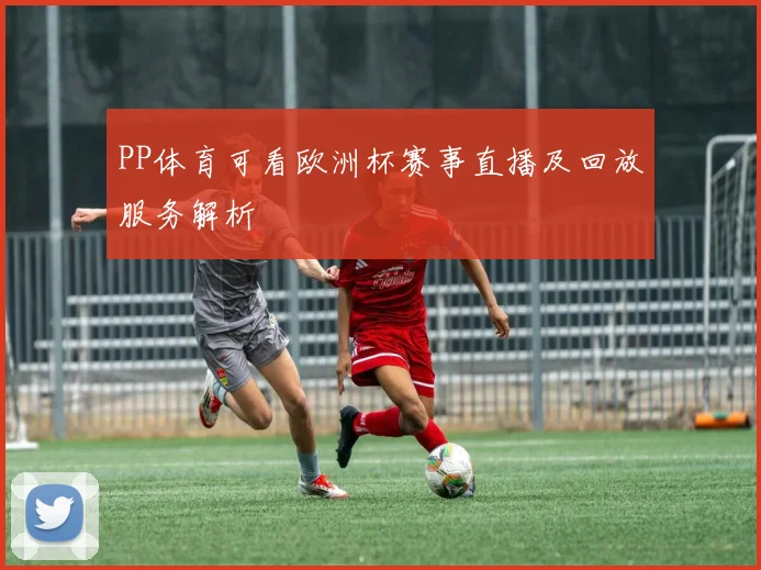 PP体育可看欧洲杯赛事直播及回放服务解析