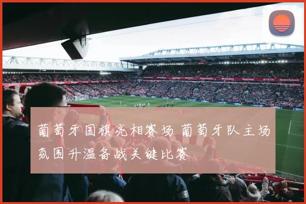 葡萄牙国旗亮相赛场 葡萄牙队主场氛围升温备战关键比赛