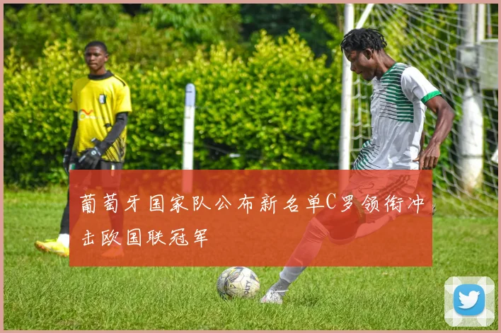 葡萄牙国家队公布新名单C罗领衔冲击欧国联冠军